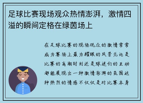 足球比赛现场观众热情澎湃，激情四溢的瞬间定格在绿茵场上