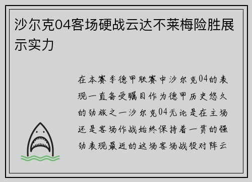 沙尔克04客场硬战云达不莱梅险胜展示实力